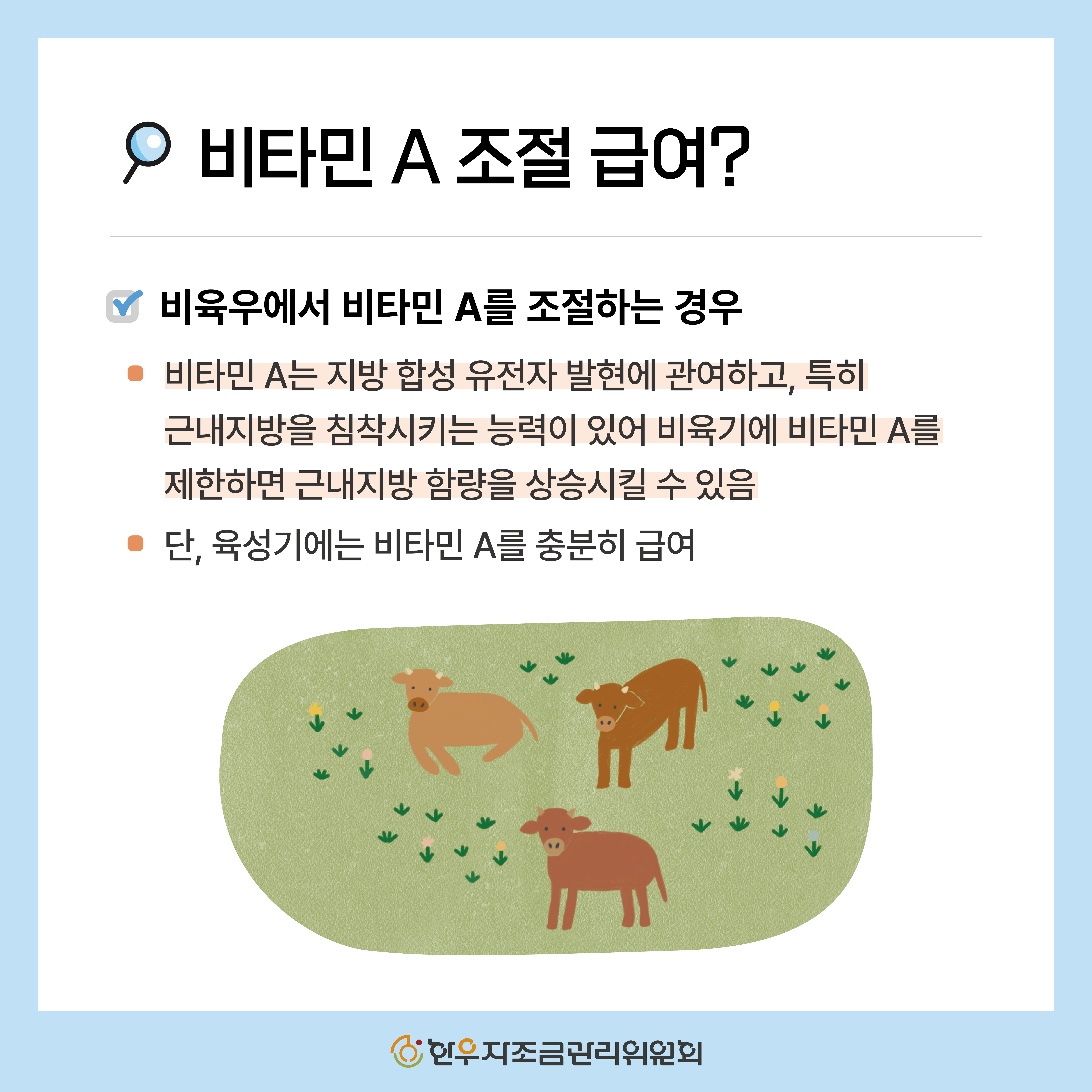소에게 필요한 비타민 총정리