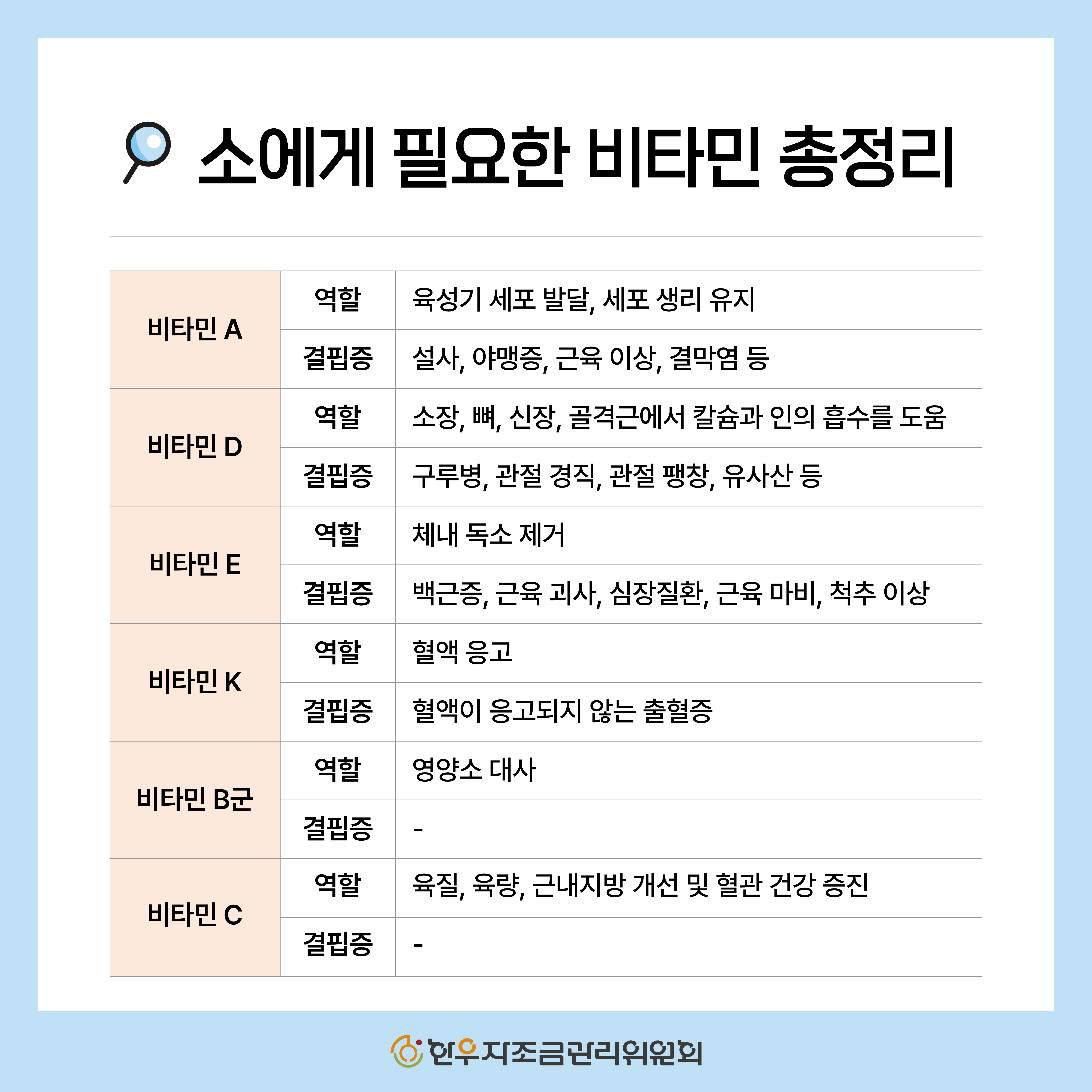 소에게 필요한 비타민 총정리