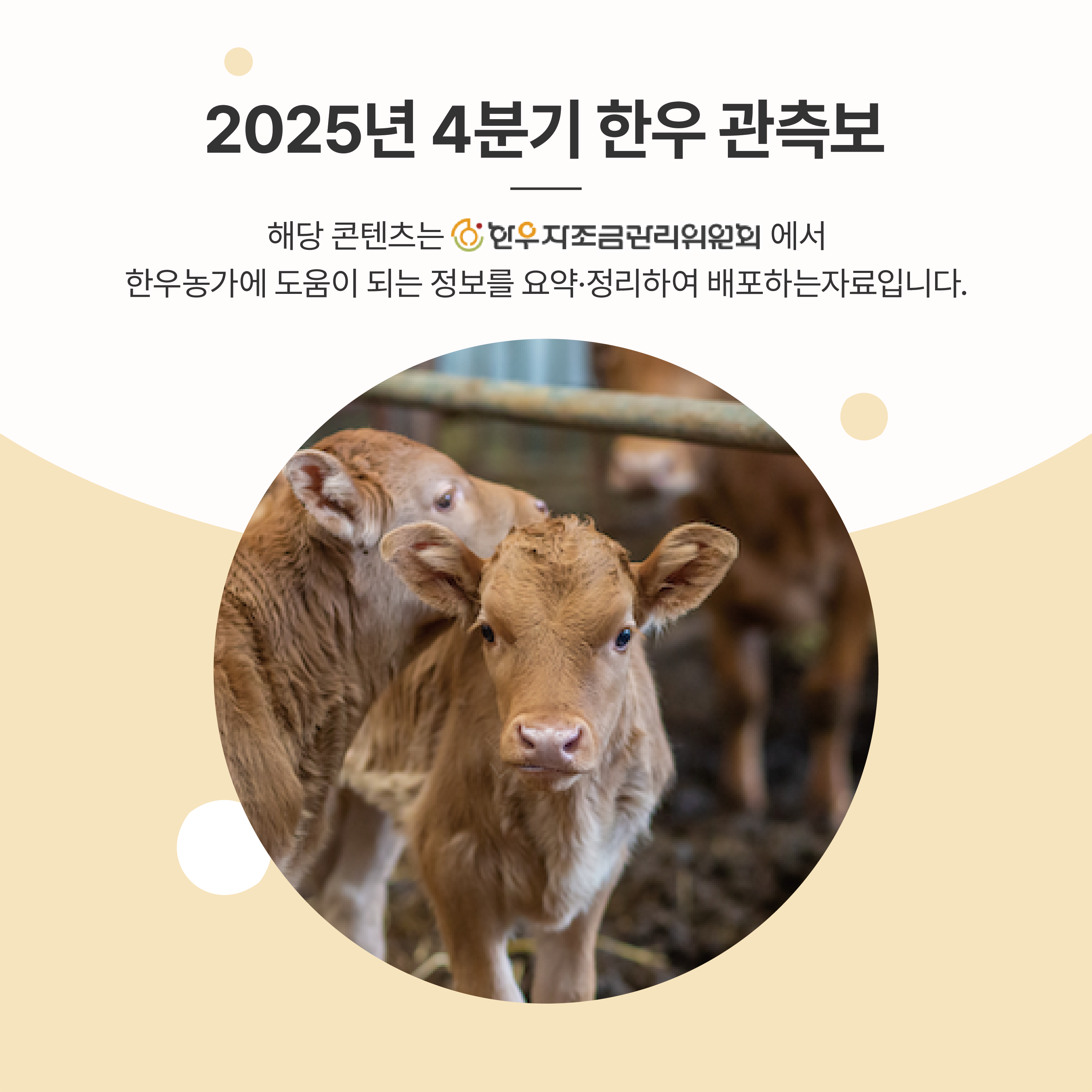 2025년 4분기 한우 관측보