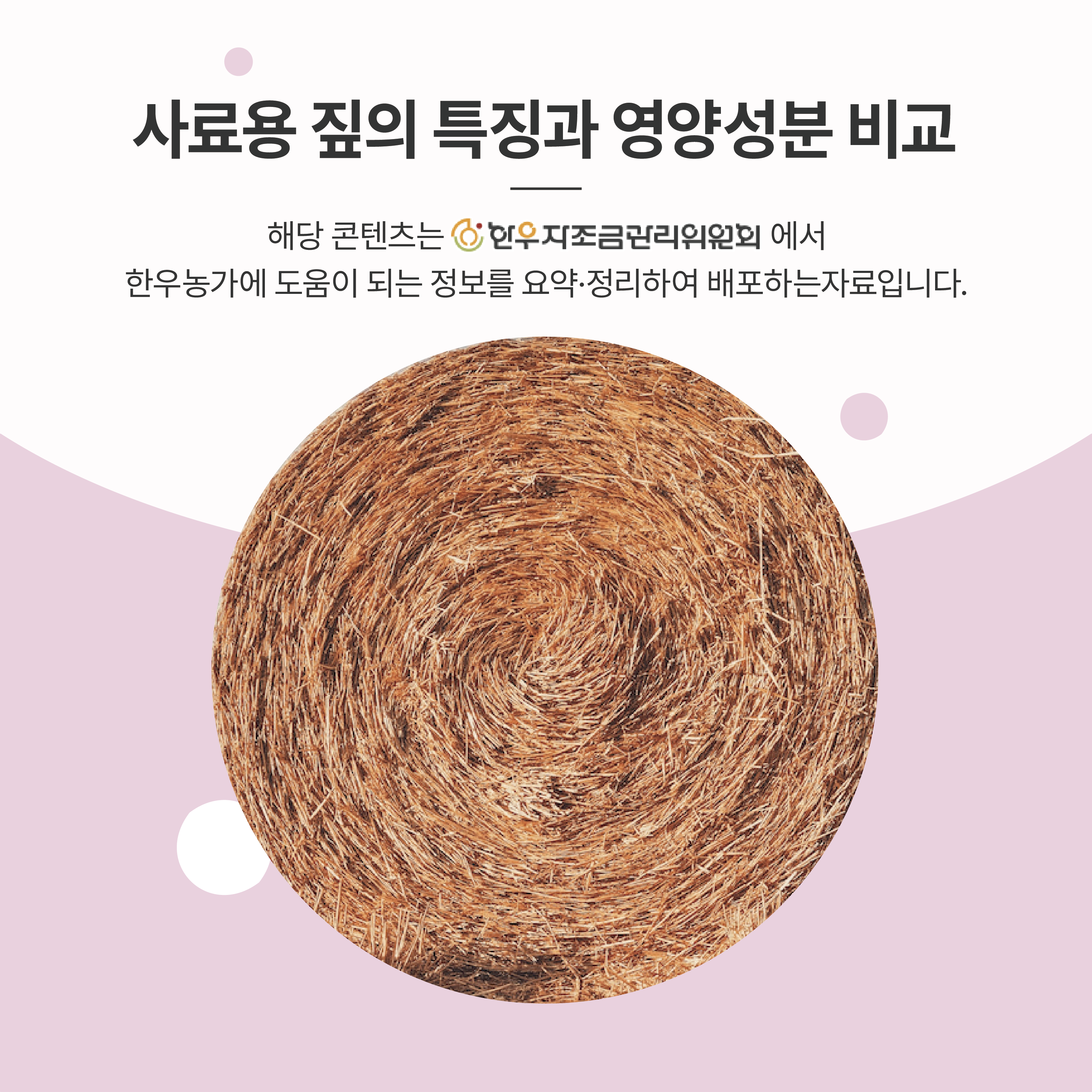 사료용 짚의 특징과 영양성분 비교