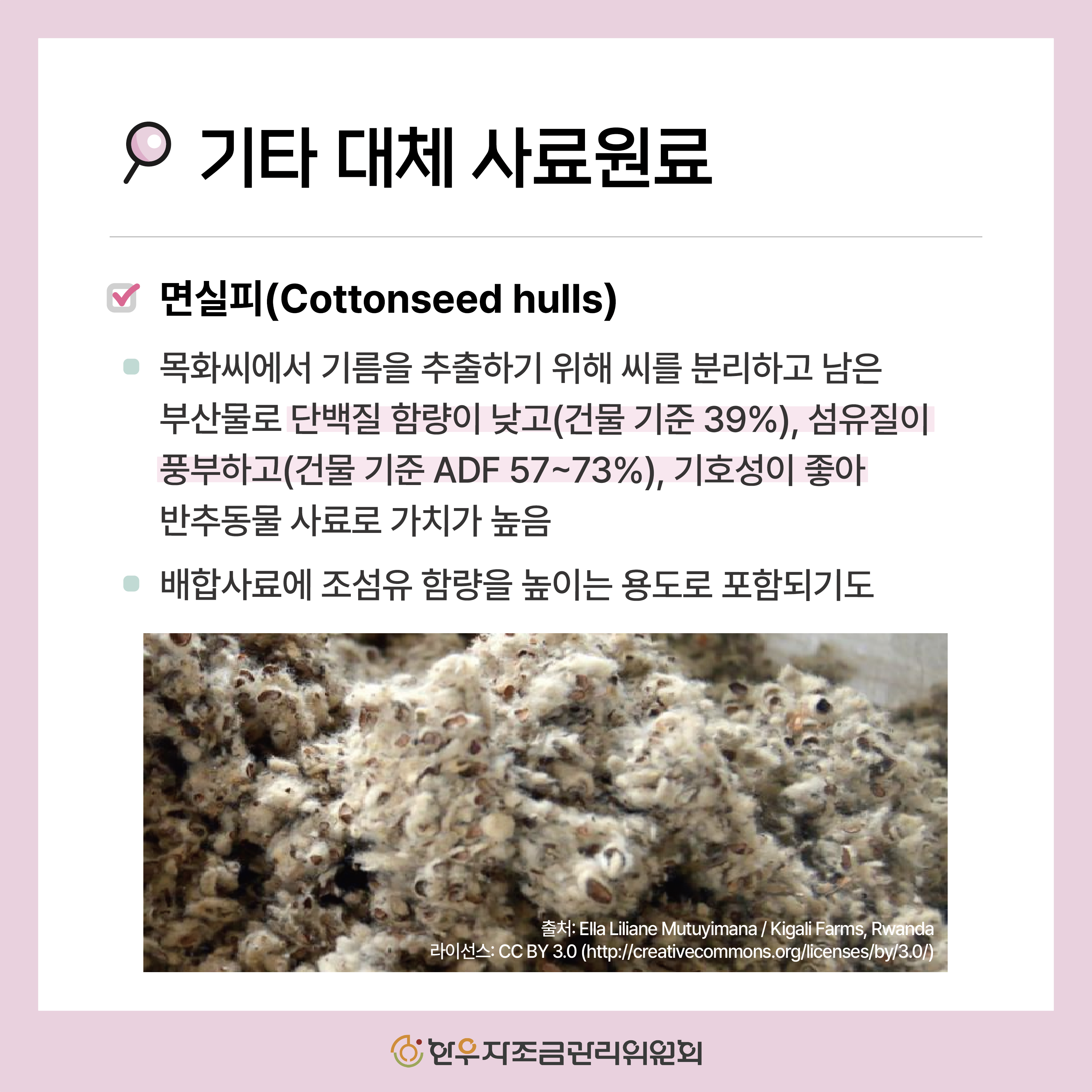 사료용 짚의 특징과 영양성분 비교