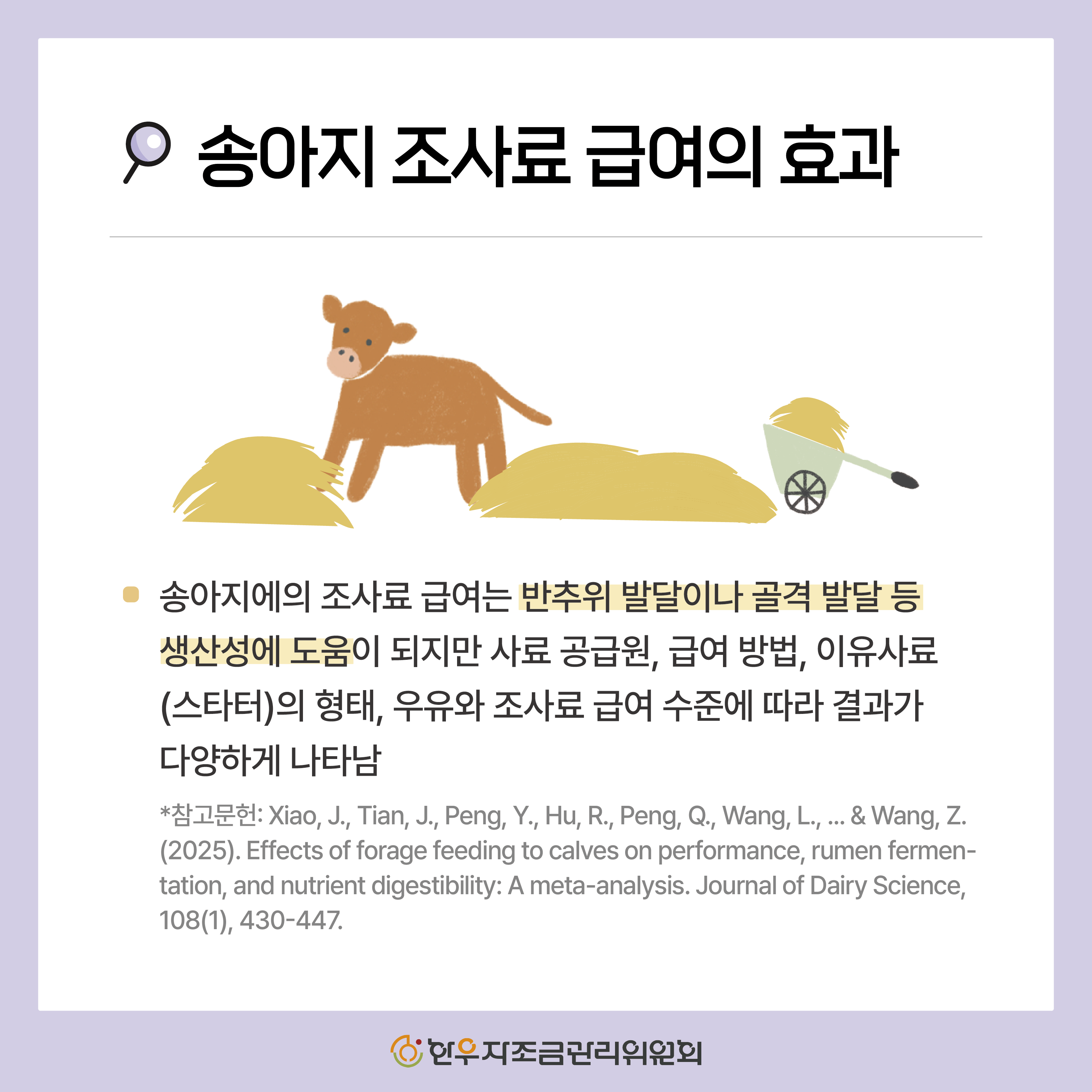 송아지 조사료, 언제부터 먹여야 할까?