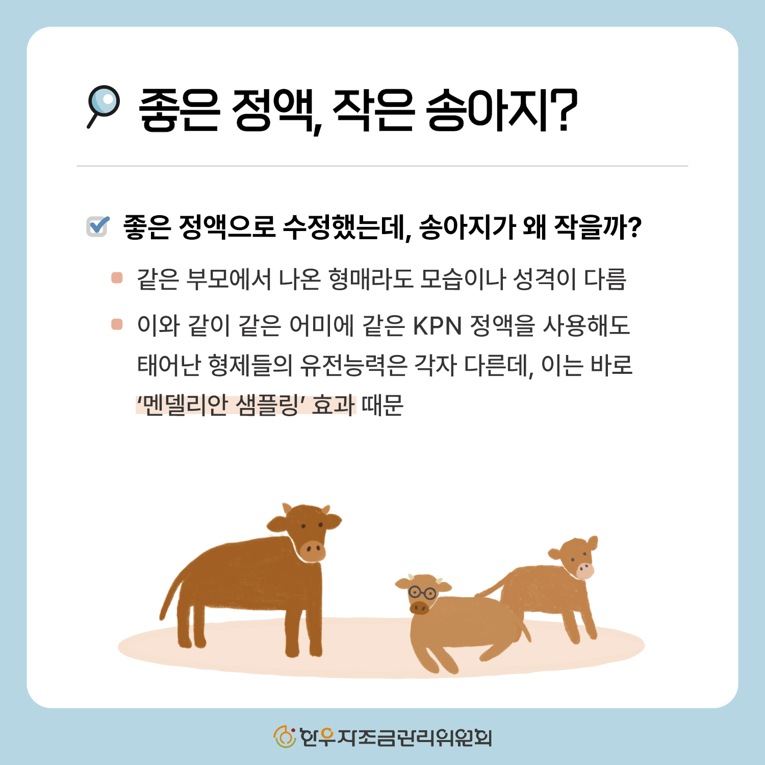 한우 형매간 성적