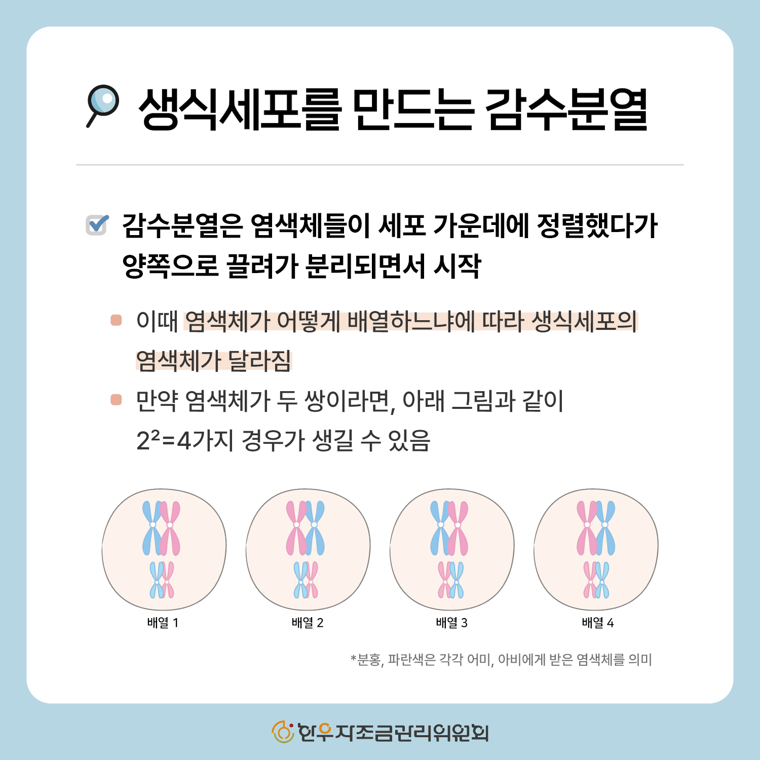 한우 형매간 성적