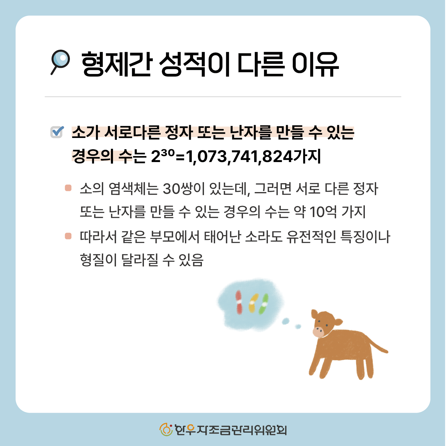 한우 형매간 성적