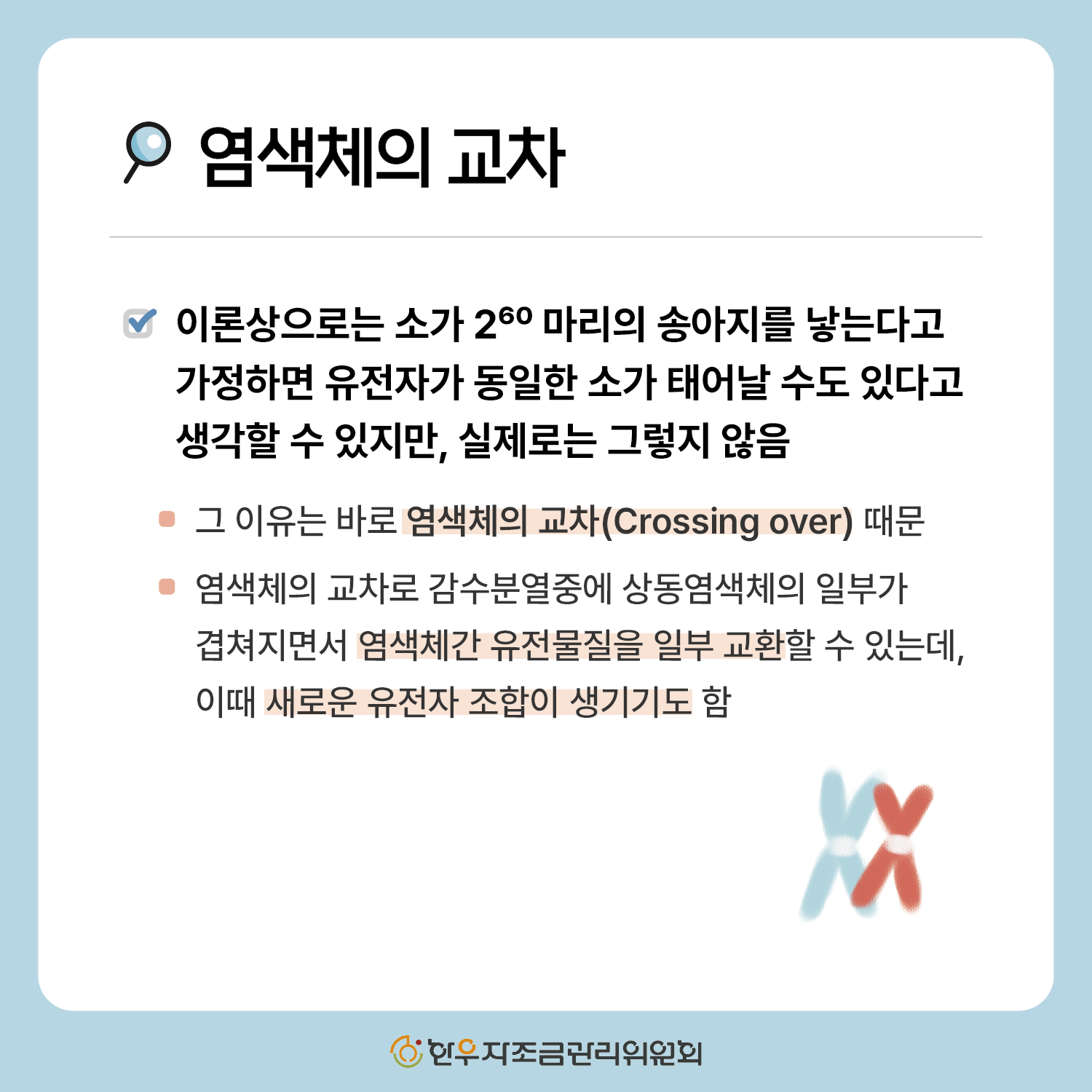 한우 형매간 성적