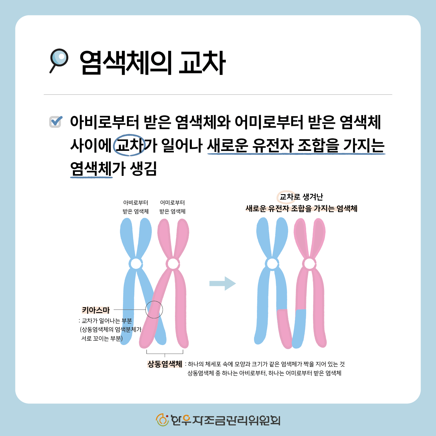한우 형매간 성적