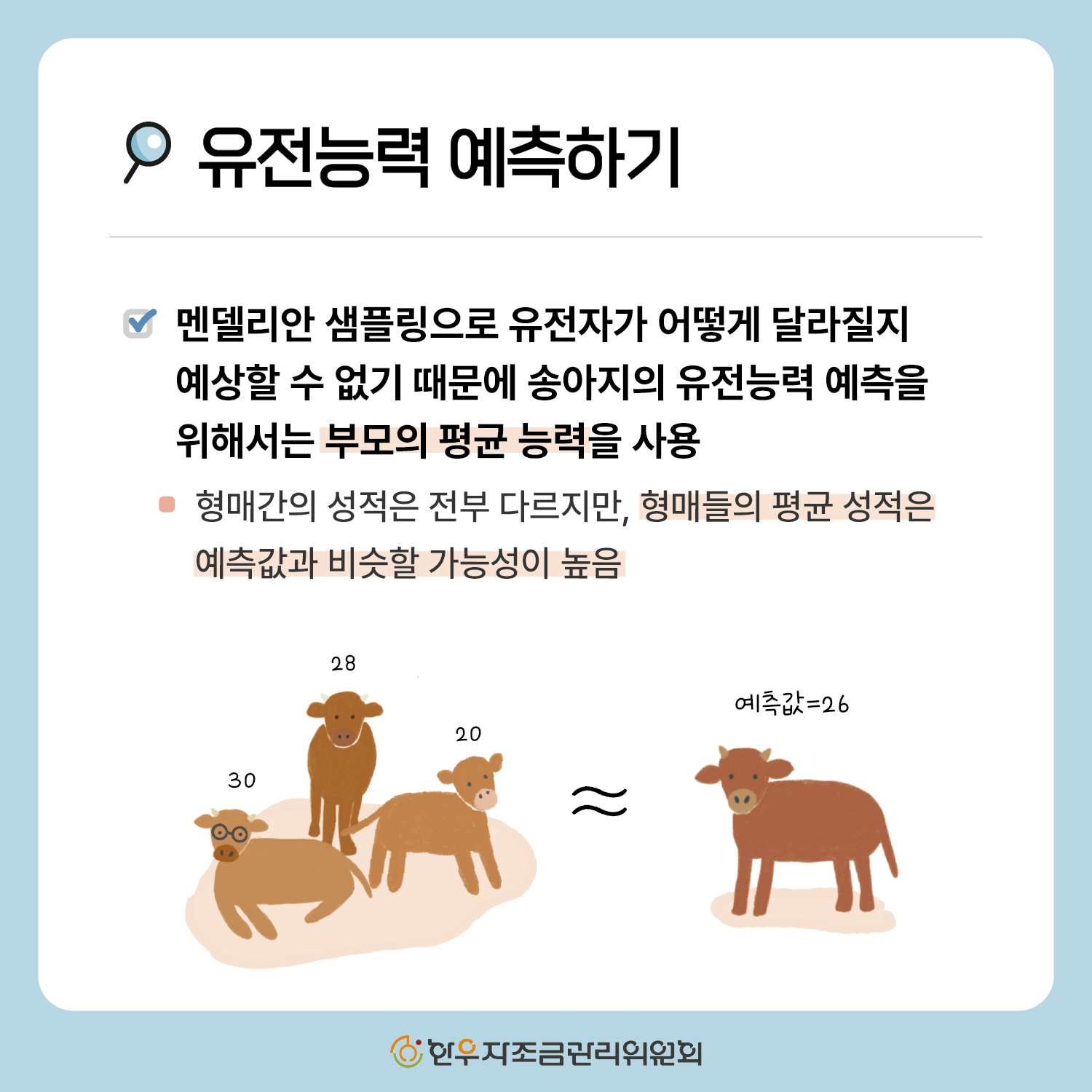 한우 형매간 성적
