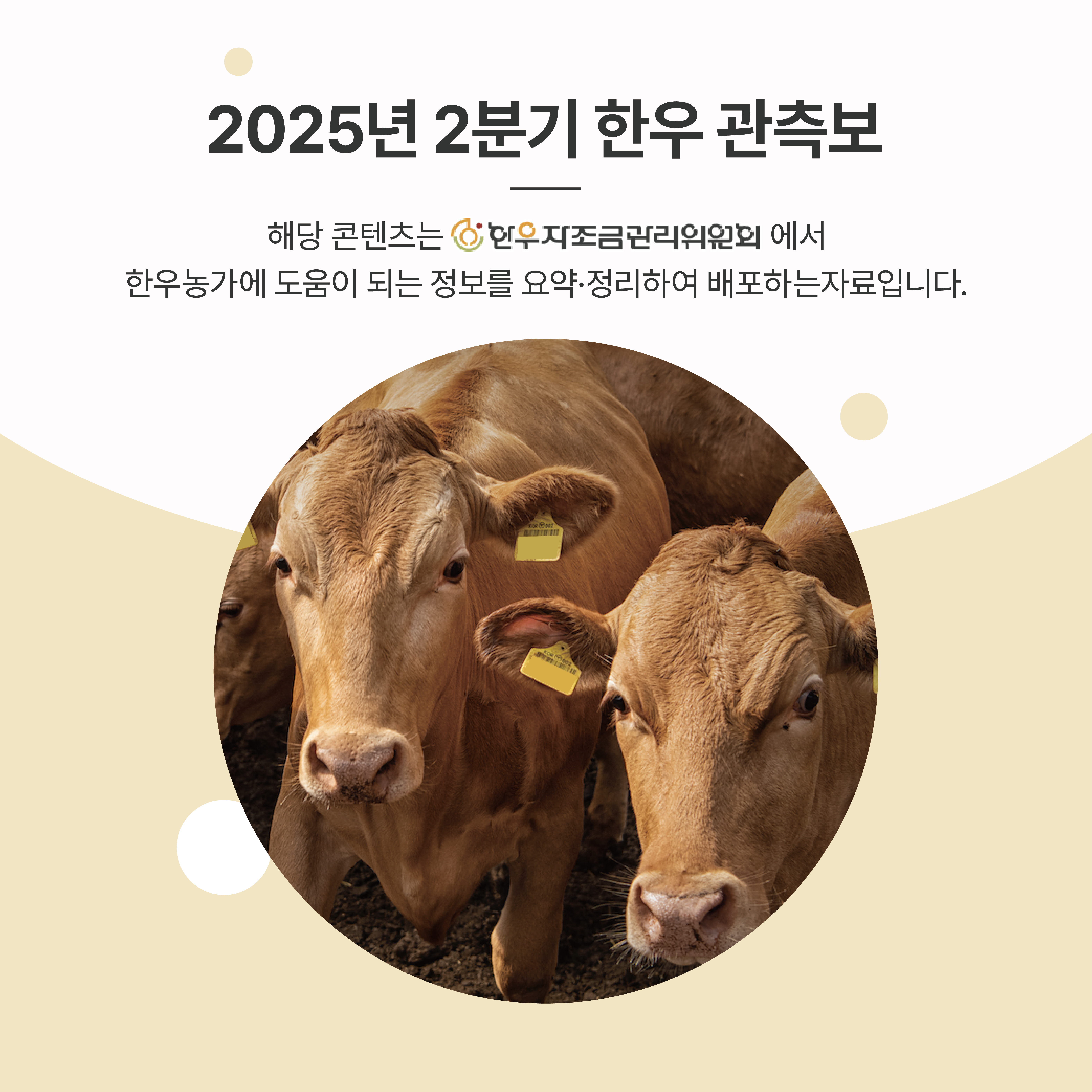 2025년 2분기 한우 관측보