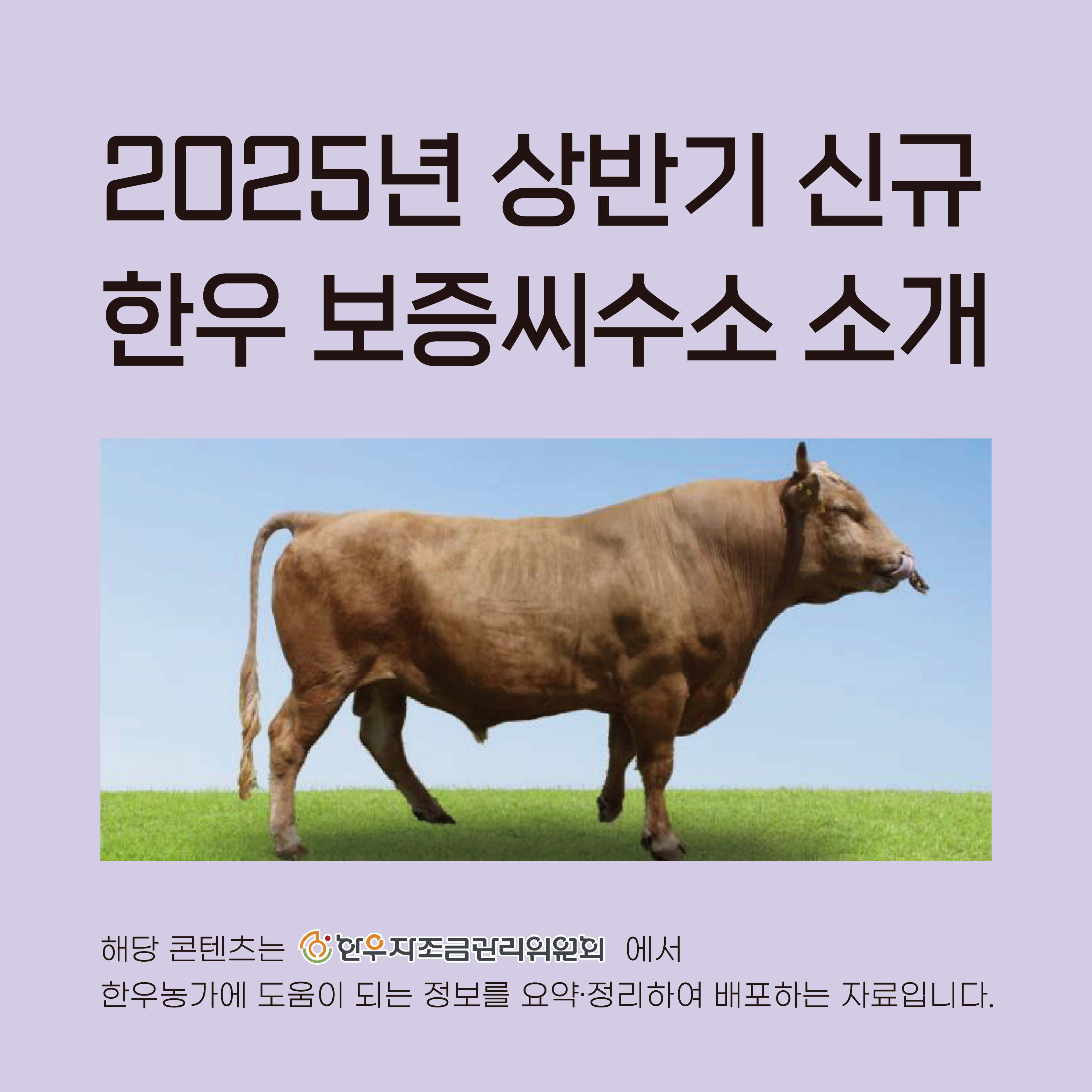 2025년 하반기 신규 한우 보증씨수소 소개
