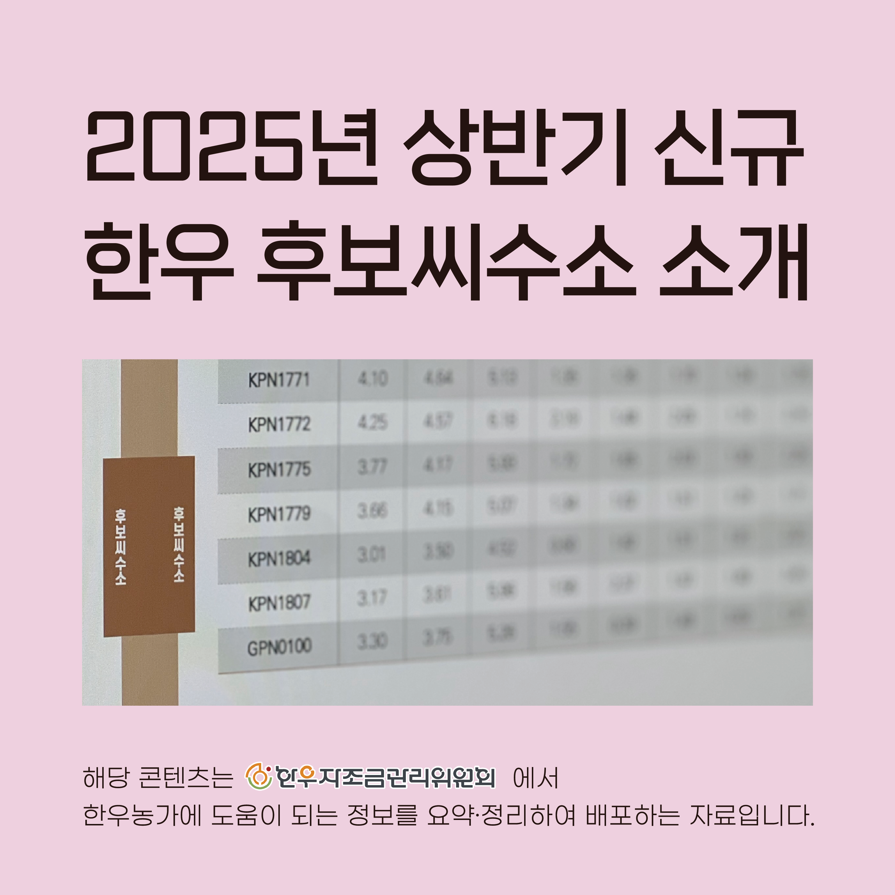 2025년 하반기 신규 한우 후보씨수소 소개