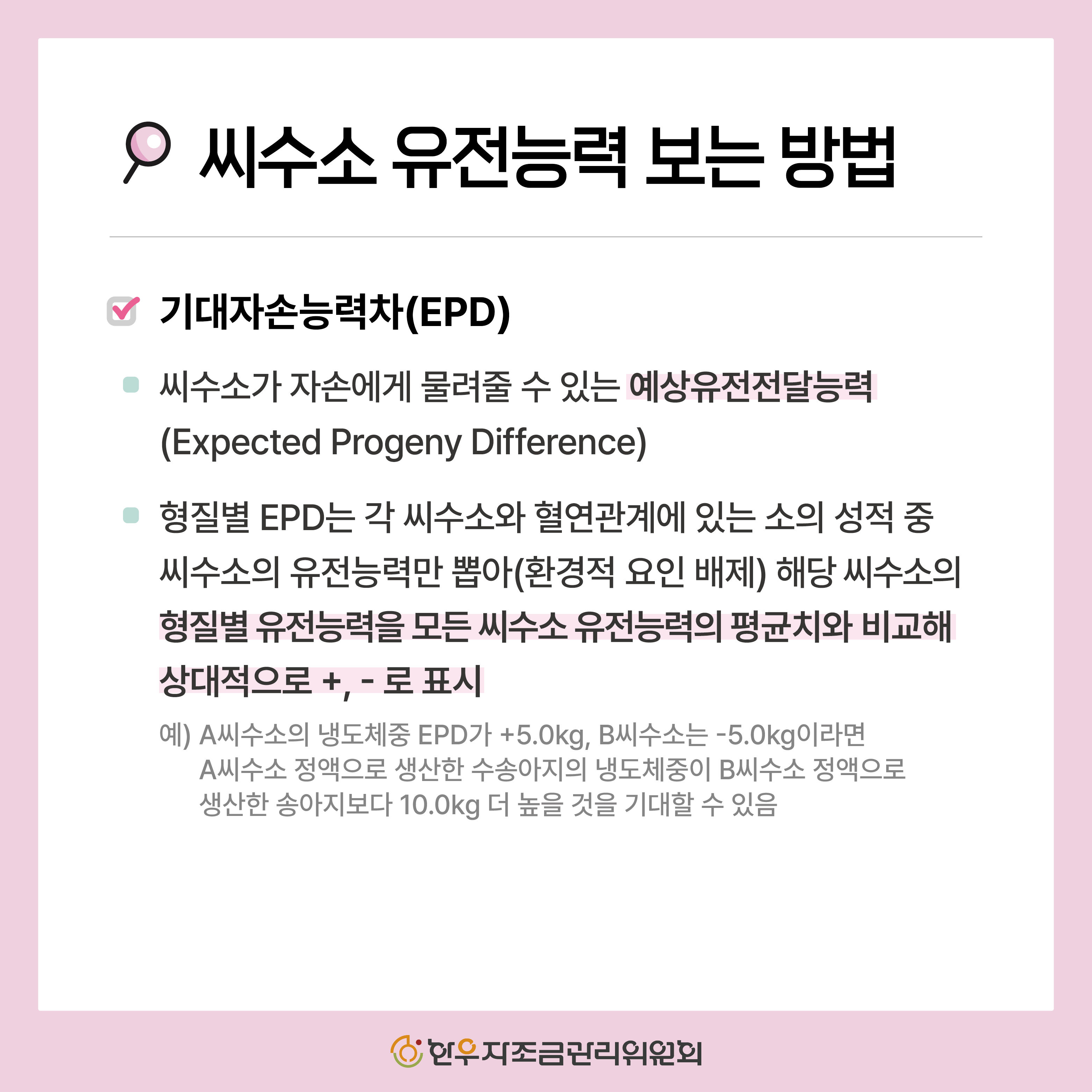 2025년 하반기 신규 한우 후보씨수소 소개