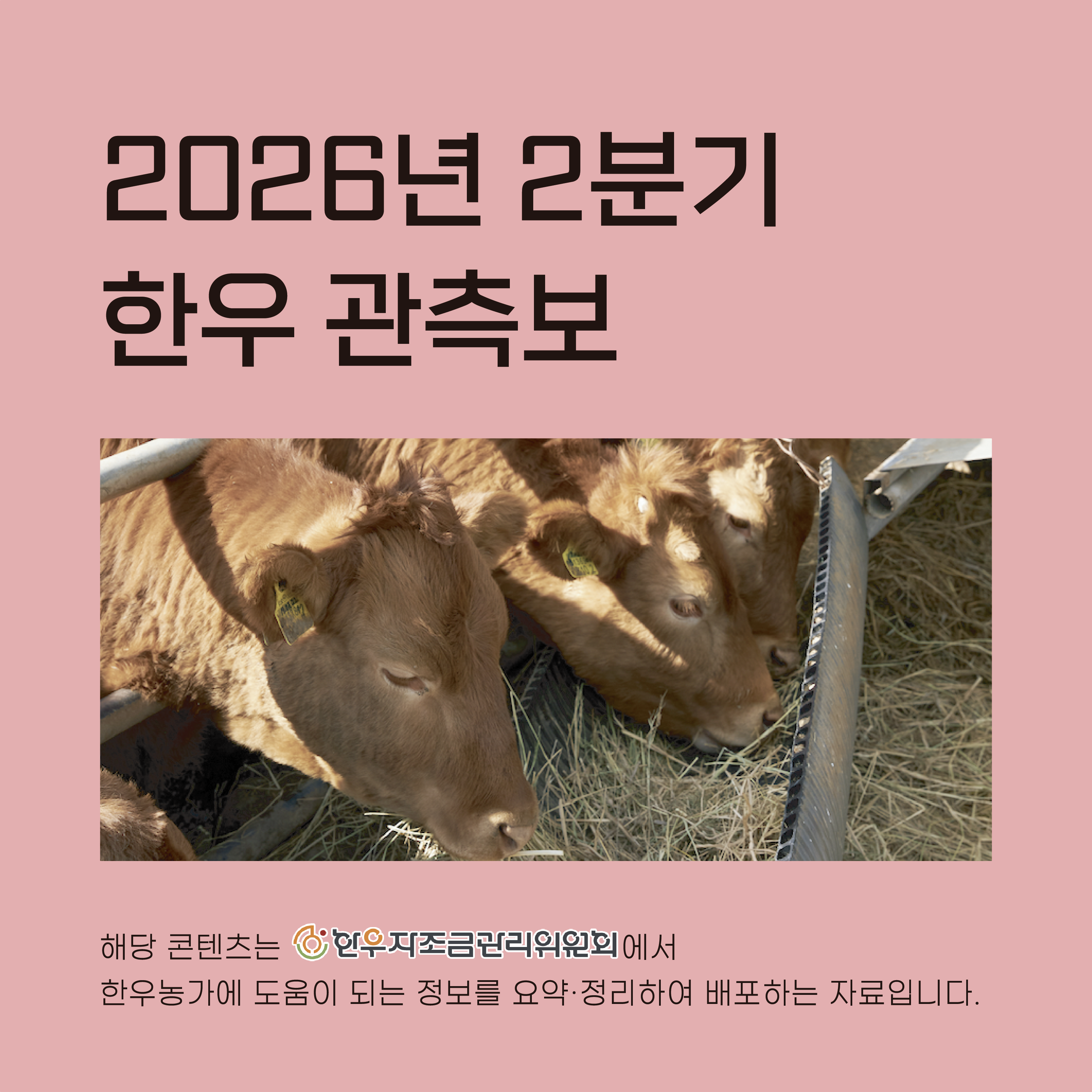 2026년 2분기 한우 관측보