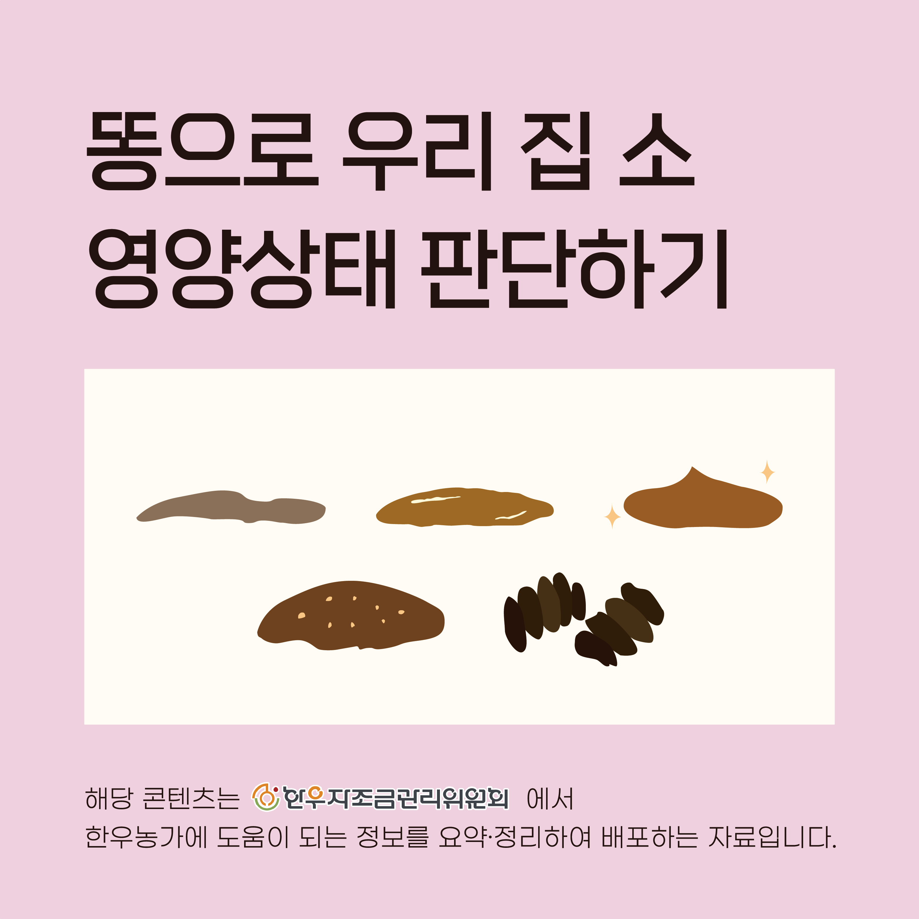 똥으로 우리 집 소 영양상태 판단하기
