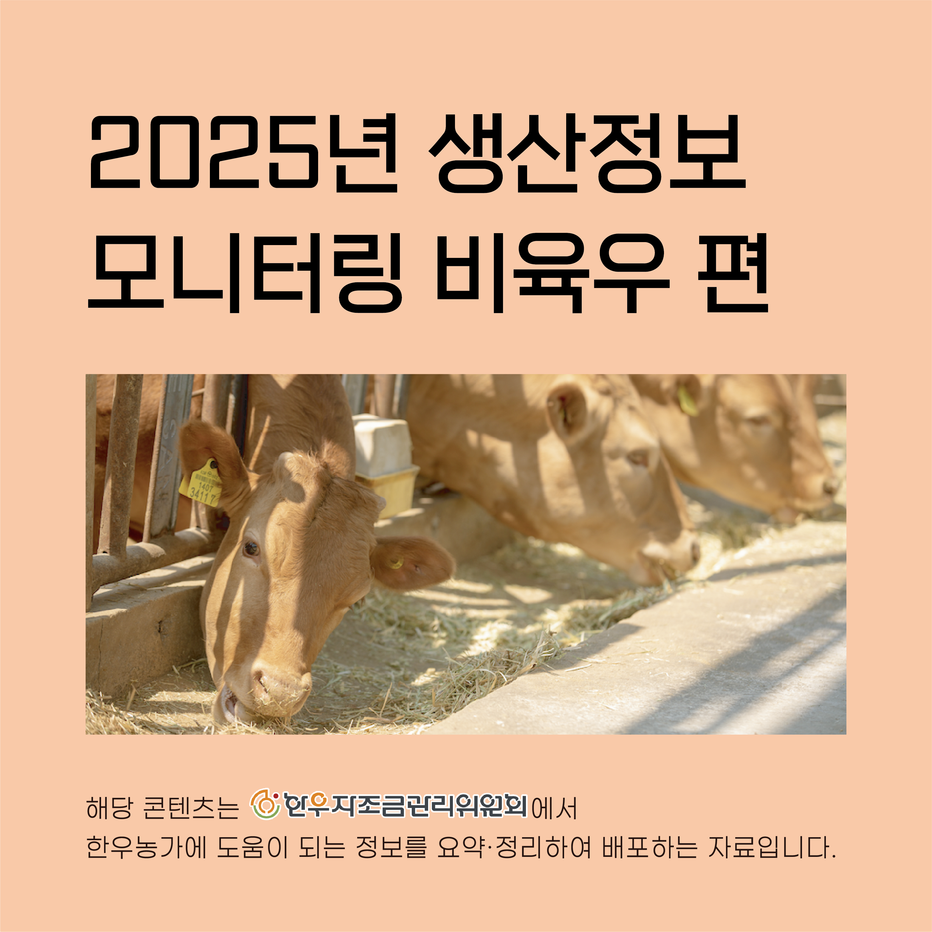 2025년 생산정보 모니터링_비육우