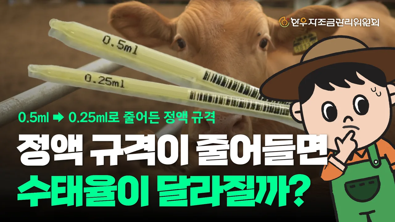정액 규격(0.5ml -> 0.25ml)이 줄어들면 수태율이 달라질까?